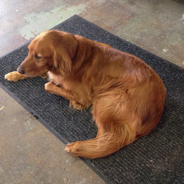 Photos at Woody's Pet Food Deli Edina, MN