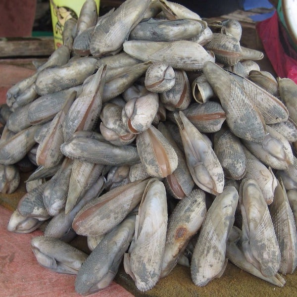 Mentarang Bakar Flea Market In Kuala Selangor