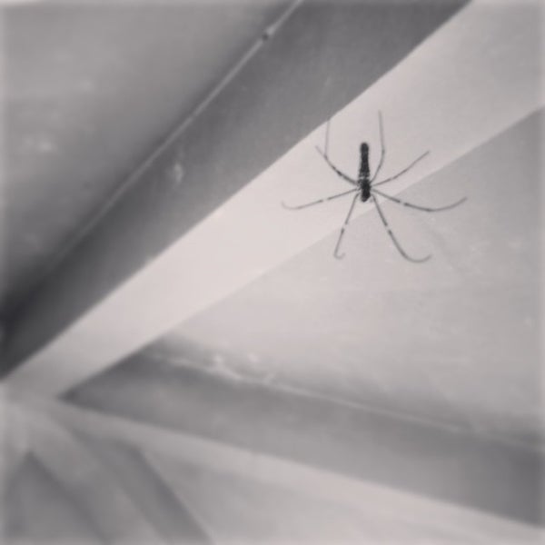 Tai Tong Barbecue Site 大棠燒烤場 Campground in 元朗区