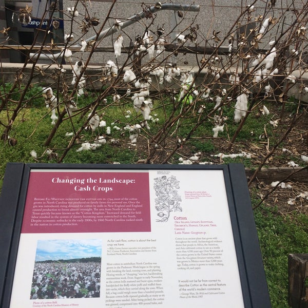 3/25/2017 tarihinde Layla C.ziyaretçi tarafından North Carolina Museum of History'de çekilen fotoğraf