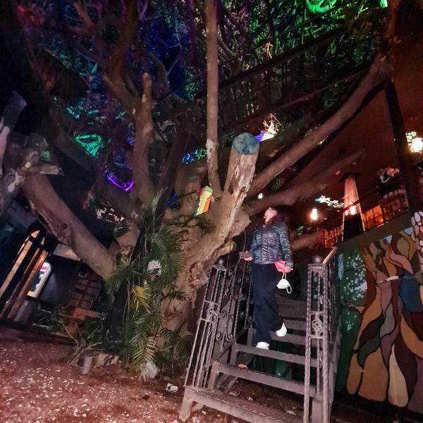 Foto tirada no(a) Tree House Restaurante &amp; Cafe por PamiXcool G. em 10/22/2021