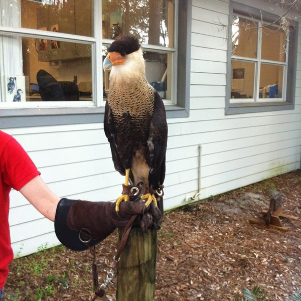 Photo taken at Audubon Center for Birds of Prey by Lindsay on 10/21/2013