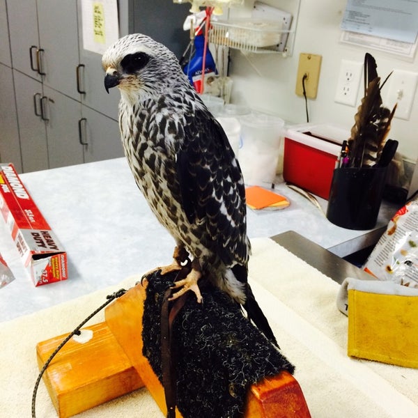 Das Foto wurde bei Audubon Center for Birds of Prey von Lindsay am 8/15/2015 aufgenommen