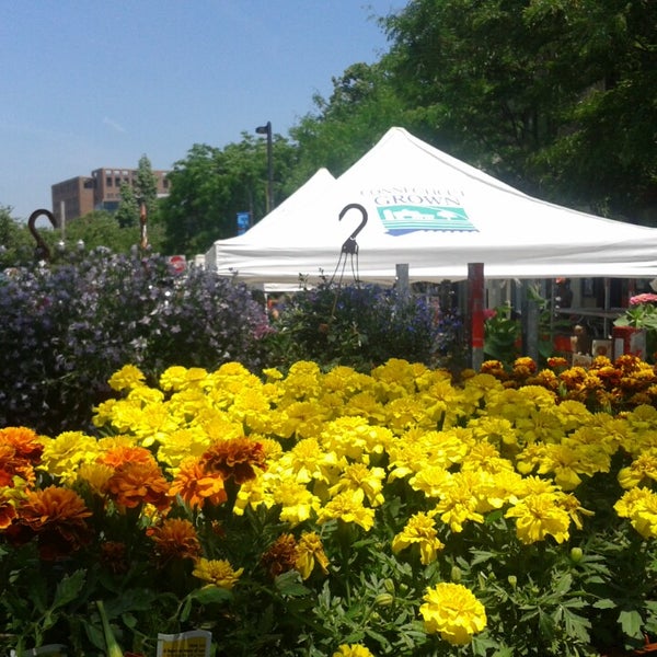 28+ Stamford Ct Farmers Market AmbberKilana