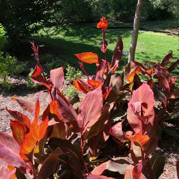 Gift Botanical Shop Garden