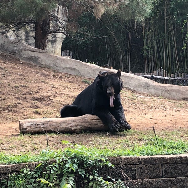 Photo taken at Cameron Park Zoo by Travis C. on 11/3/2019
