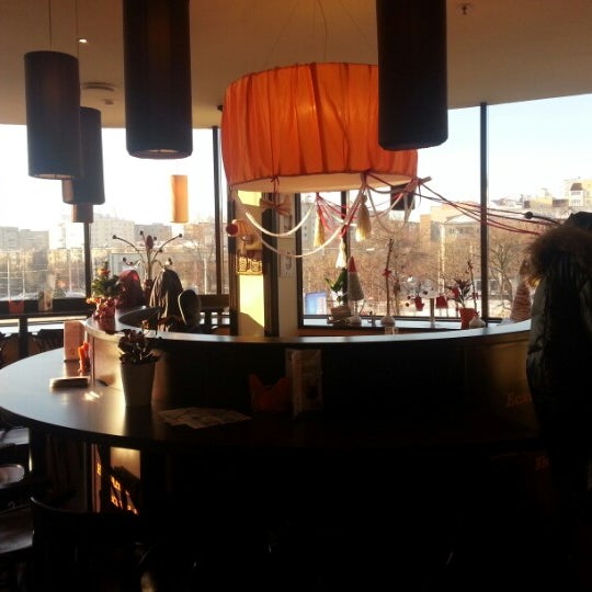 Сны любимого кота калуга