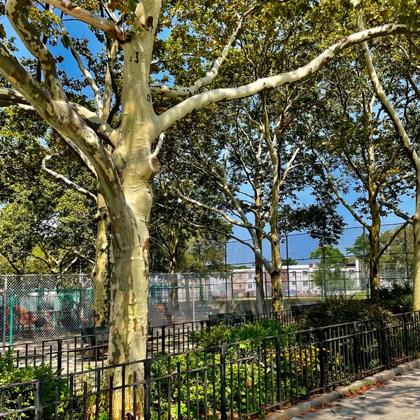 Centerville Park 3 tips