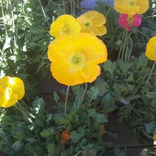 Photos at The Home Depot Hardware Store in Lake Forest