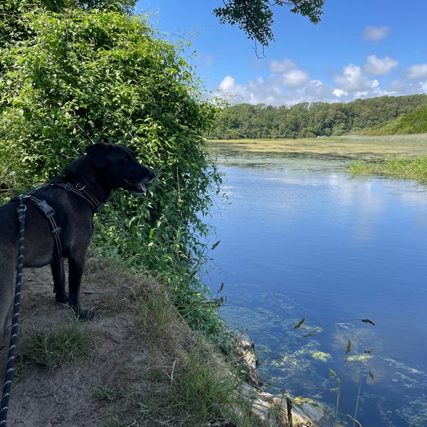 Bosherston Lily Ponds 2 tips from 60 visitors