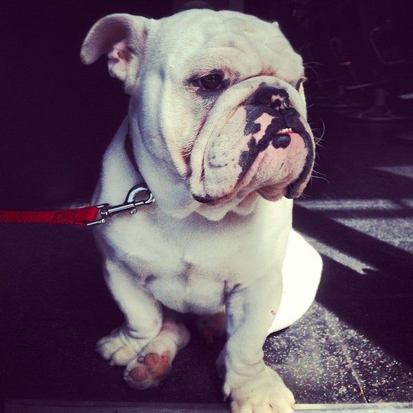 Blade Runners Hair Salon in San Francisco