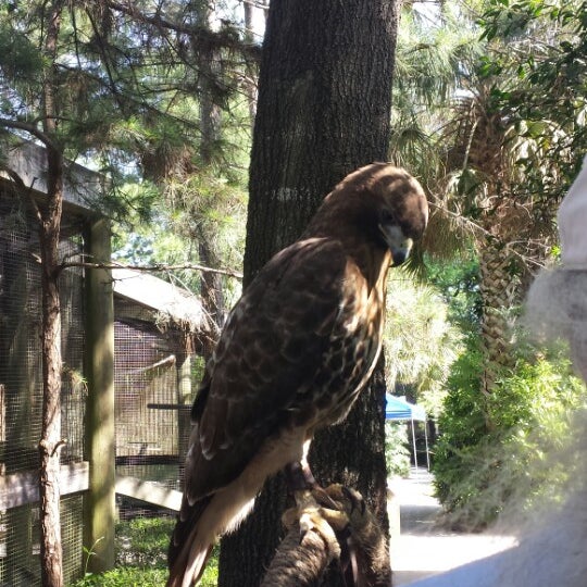 Photo taken at Audubon Center for Birds of Prey by Ryan J. on 5/10/2014