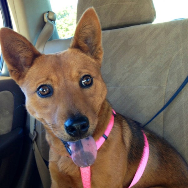 Cutters Point Savannah, GA