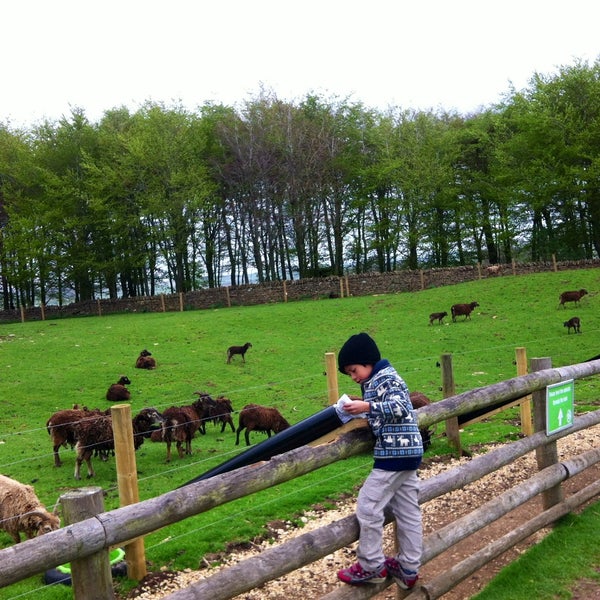 Cotswold Farm Park Farm in Cheltenham