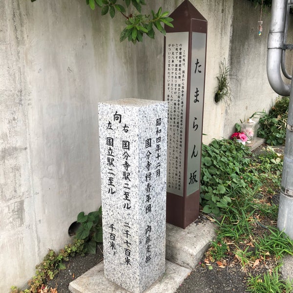 Photos At 多摩蘭坂 Road In 国立市