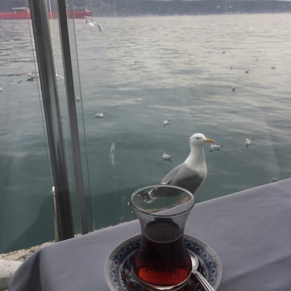 Foto diambil di İskele Can Restaurant &amp; Cafe oleh Meltem A. pada 12/16/2018
