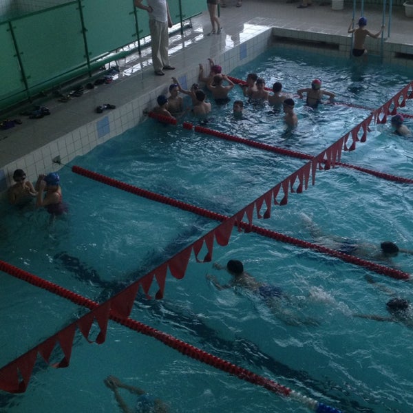 Сдюшор приморского р-на на королева бассейн. Бассейн дельфин воскресенск. Бассейн сетунь толбухина. Бассейн на королева сдюшор. Сшор санкт-петербург бассейн королева.