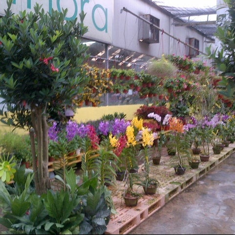Photos At Far East Flora Flower Shop In Novena