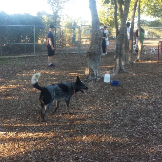 Harris Ridge Dog Park 5 tips