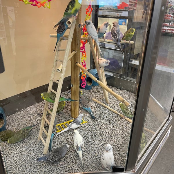 Petco Pet Supplies Store in Forest Hills