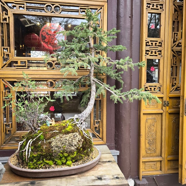 Foto tomada en Lan Su Chinese Garden  por WarNov el 3/5/2024