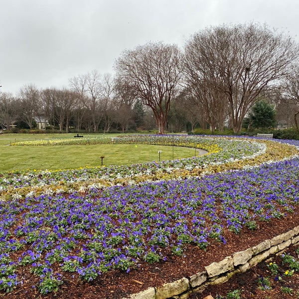Photo prise au Dallas Arboretum and Botanical Garden par Alex L. le2/2/2024