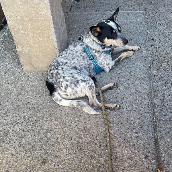 Huddle Sports Bar & Grill - Sports Bar