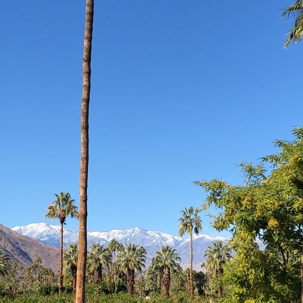 12/8/2018 tarihinde Victoria M.ziyaretçi tarafından The Saguaro Palm Springs'de çekilen fotoğraf