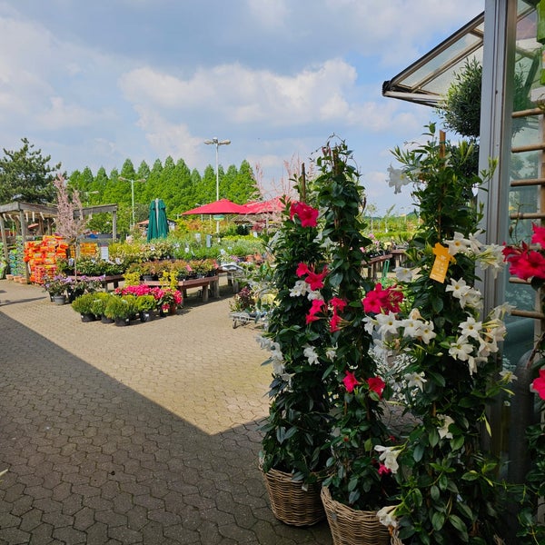 Schley's Blumenparadies Gartencenter in Essen