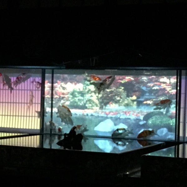 Photos At アートアクアリウム城 京都 金魚の舞 Now Closed Art Gallery In 中京区 京都市 京都府 Photos At アートアクアリウム城 京都 金魚の舞 Now Closed Art Gallery In 中京区 京都市 京都府
