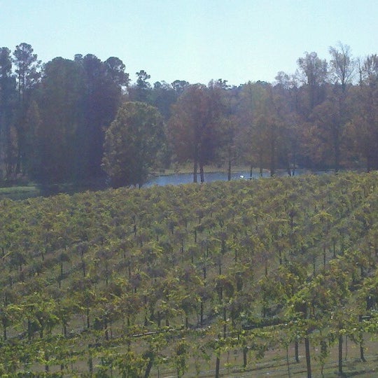 Das Foto wurde bei Gregory Vineyards von FrauHausMaus am 11/9/2012 aufgenommen