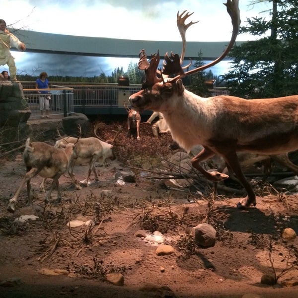 รูปภาพถ่ายที่ Mashantucket Pequot Museum and Research Center โดย Bill H. เมื่อ 9/1/2014