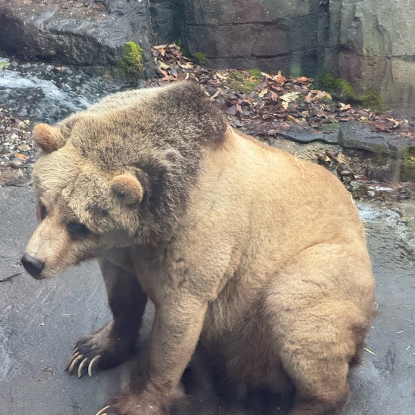 Photo taken at Central Park Zoo by Bill H. on 12/26/2023