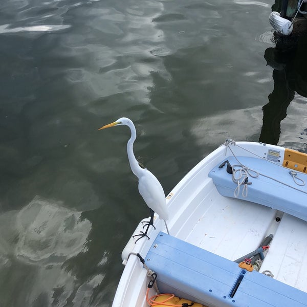 Hart's Landing 4 tips from 184 visitors