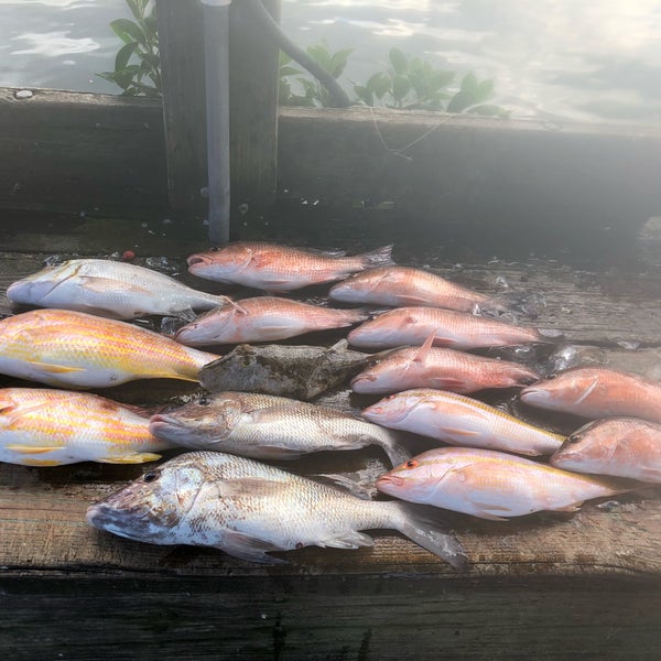 Hart's Landing 4 tips from 184 visitors