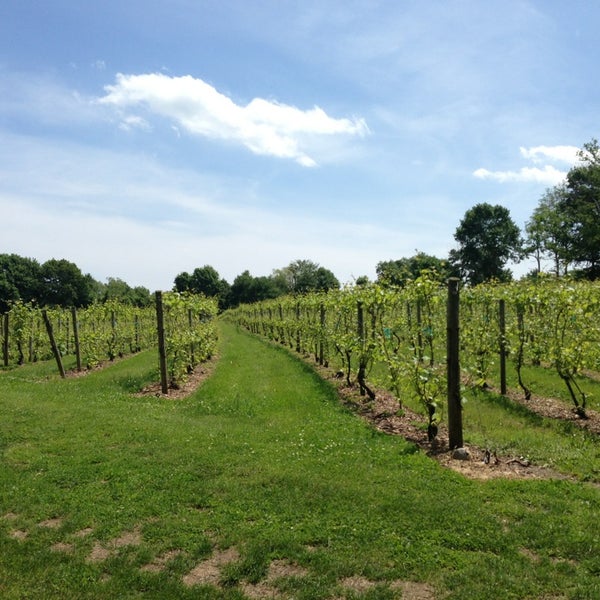 Greenvale Vineyards Greenvale Rd