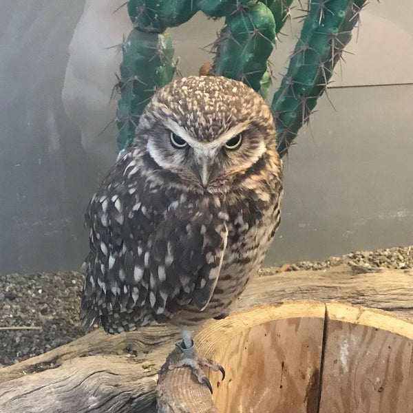 4/28/2018 tarihinde Miles H.ziyaretçi tarafından National Aviary'de çekilen fotoğraf