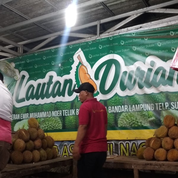 Download 920 Gambar Durian Lampung Terbaik HD