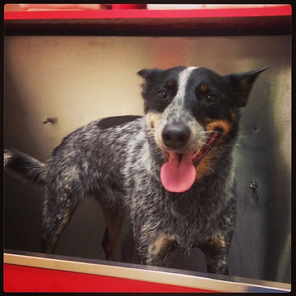 Feeders Supply Pet Supplies Store in East Louisville