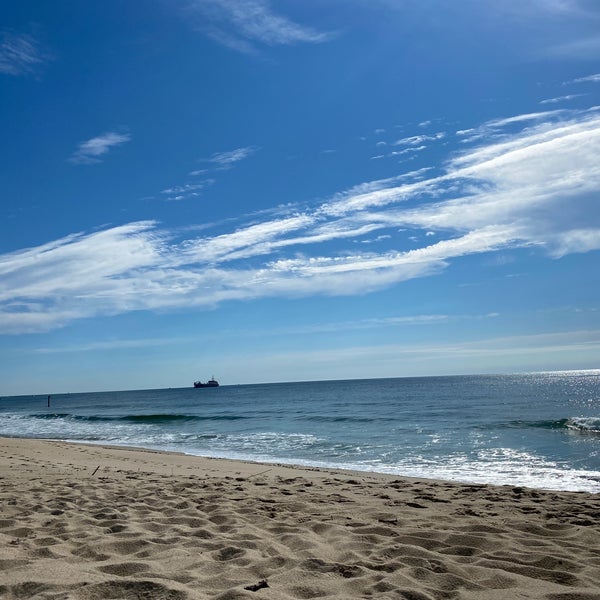 Are Dogs Allowed On New Jersey Beaches
