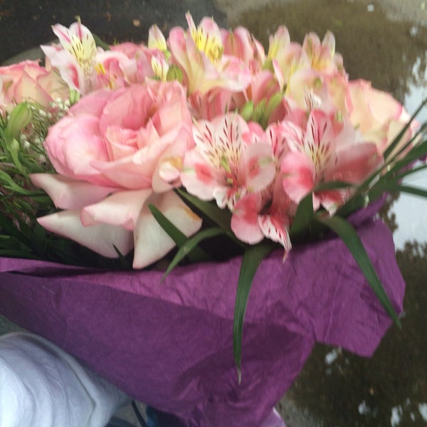 Сойка флаверс ул захарченко 12 отзывы. Сойка флаверс ул захарченко 12 отзывы. Сойка флаверс ул захарченко 12 отзывы. Сойка флаверс ул захарченко 12 отзывы. Зумбул цветок.