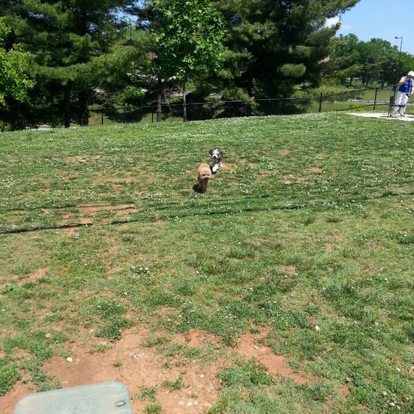 Photos at PetSafe Downtown Dog Park Dog Runs in Knoxville