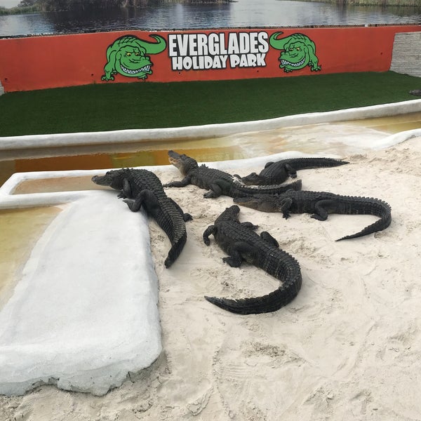 Photo taken at Everglades Holiday Park by Andreea V. on 5/22/2018