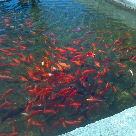 Warm Springs National Fish Hatchery National Park in Warm Springs
