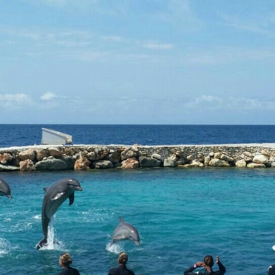 Foto tirada no(a) Dolphin Academy por Gil S. em 9/12/2015
