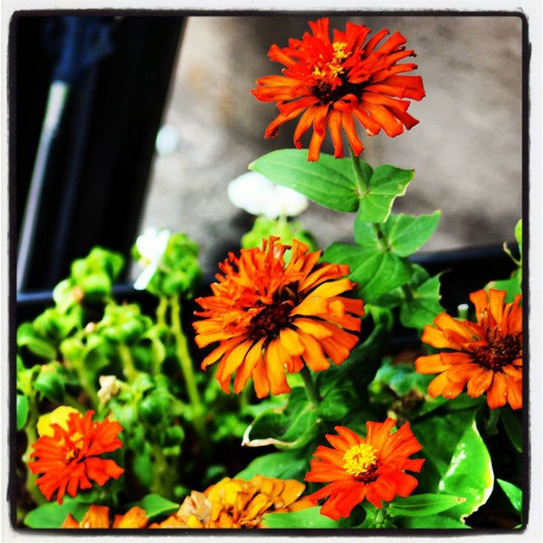 HT Hackney Corporate Downtown Knoxville Knoxville, TN