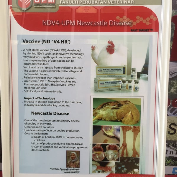 Photos at Faculty of Veterinary Medicine, UPM - University in Serdang