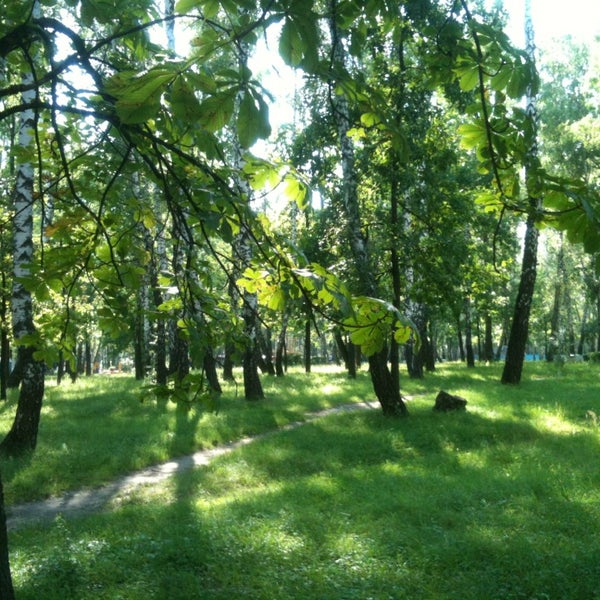 Железногорск курская область парк
