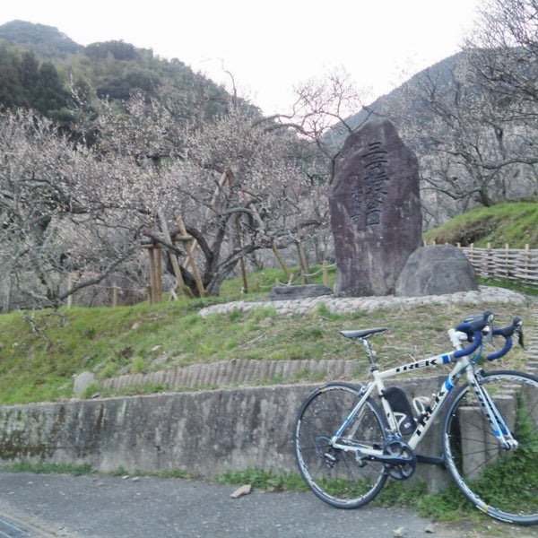 Photos At 三岳梅林公園 小倉南区辻三307 Photos At 三岳梅林公園 小倉南区辻三307
