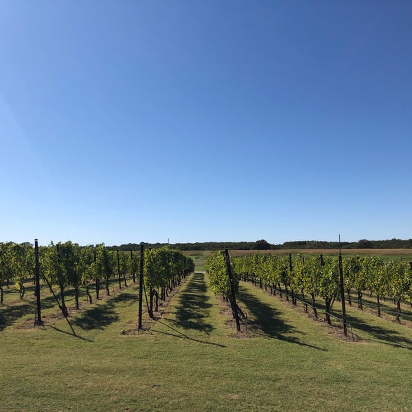 Photo taken at Arché Winery &amp; Vineyard by Jason D. on 10/11/2019